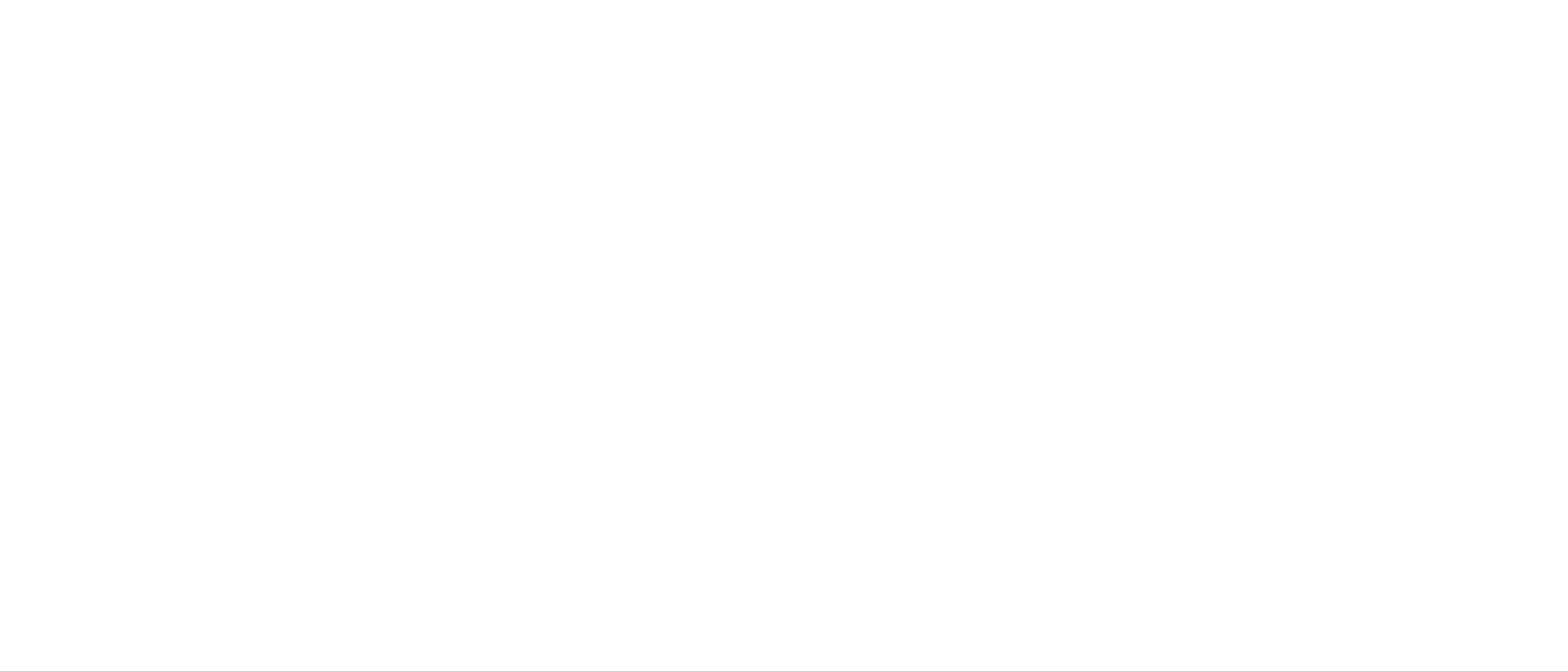 BluMetric_Transparent_Main_White_SVG